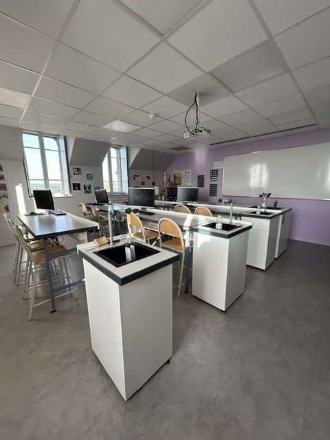 Bac technologique ST2S